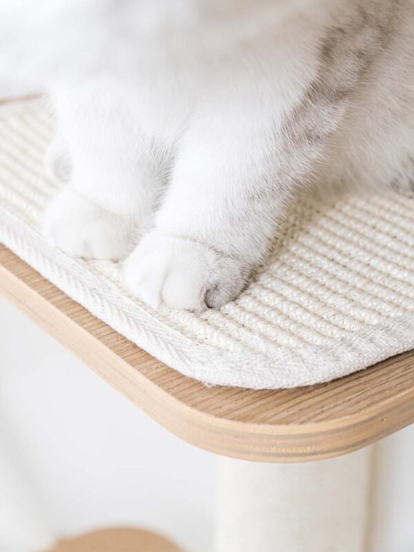 Kattenmuur Level 40