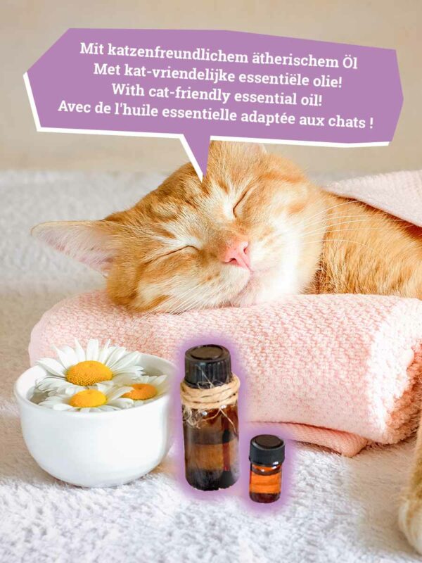 Kattenbakvulling Natural-Wellness Summer Bliss - 12-pack