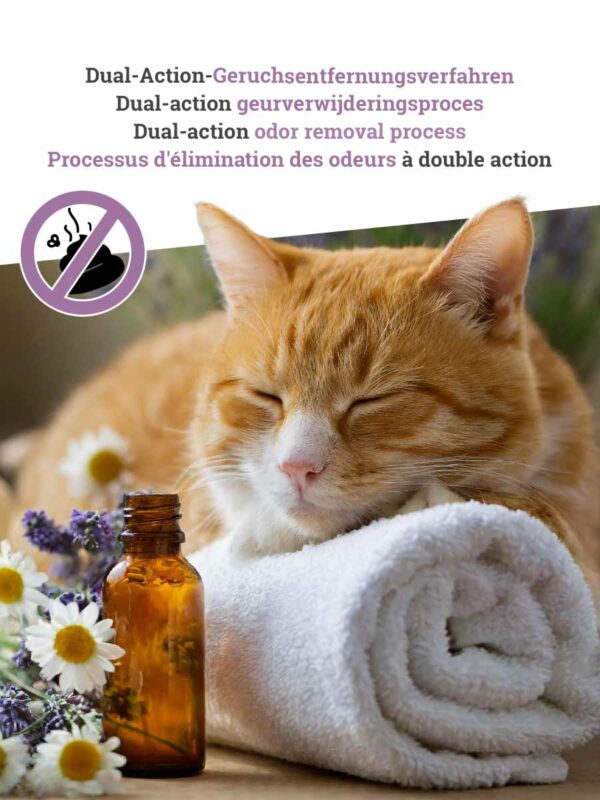 Kattenbakvulling Natural-Wellness Summer Bliss - 12-pack