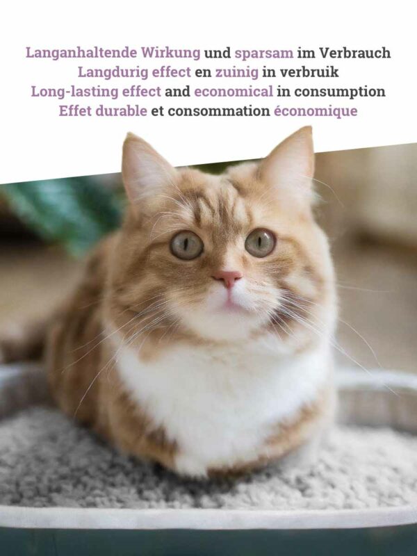 Kattenbakvulling Natural-Wellness Summer Bliss - 12-pack