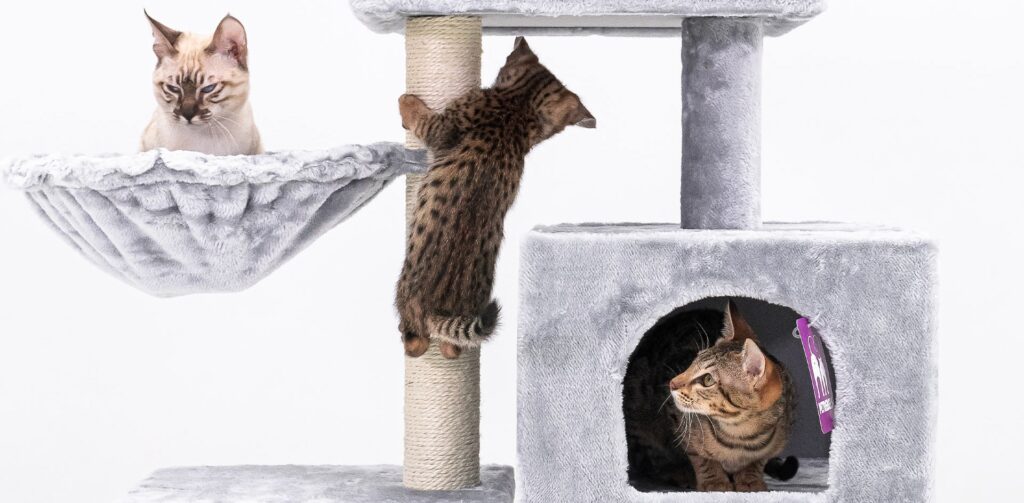 Jonge katten klimmen, liggen en zitten in een lichtgrijze krabpaal van Petrebels. Petrebels blog – Katten, zwangerschap en kittens: alles wat je moet weten.