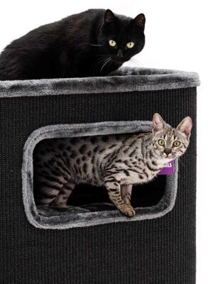 Krabton Vault 118 - Pepper - XXL - stabiel