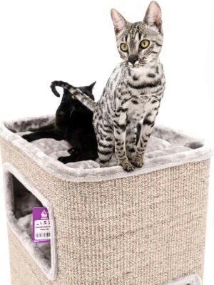 Krabton Vault 118 - Cappuccino - XXL - stabiel