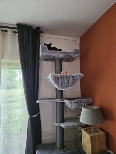 twee katten in een alexis 224 grijs petrebels krabpaal