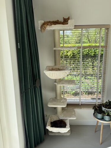 twee katten in alexis 224 cream petrebels krabpaal