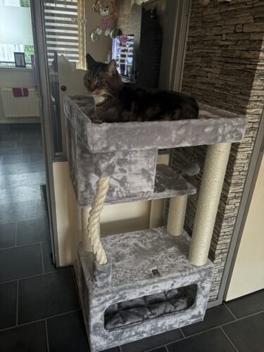 kat op lodge 107 grijs petrebels