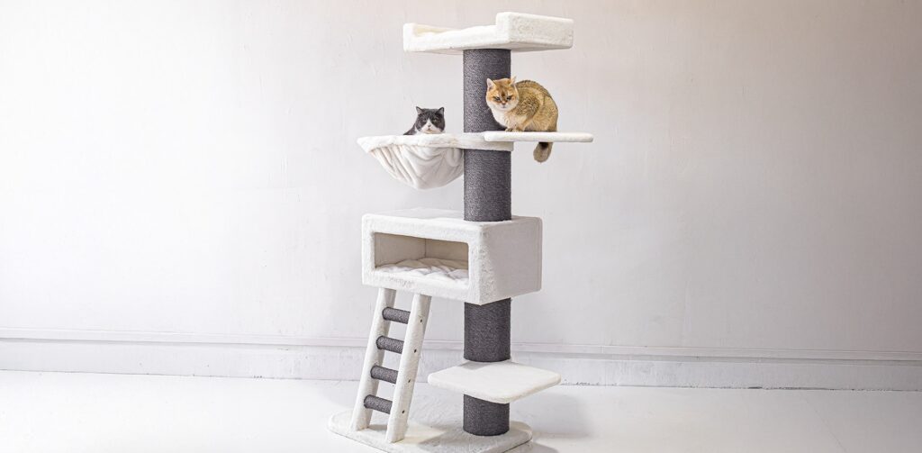 Twee raskatten zitten op een hoge wit met grijze krabpaal van Petrebels.