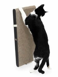 Krabkarton kat Milo 63 - Black - Recycled karton - 100% natuurlijk