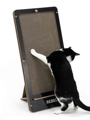 Krabkarton kat Coco 60 - Black - Recycled karton - 100% natuurlijk