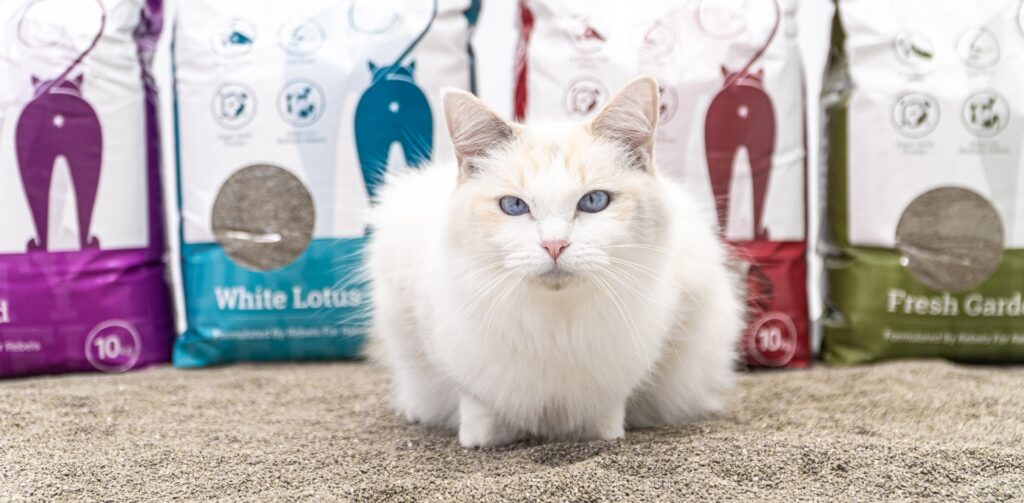 Header litière sans odeur Petrebels