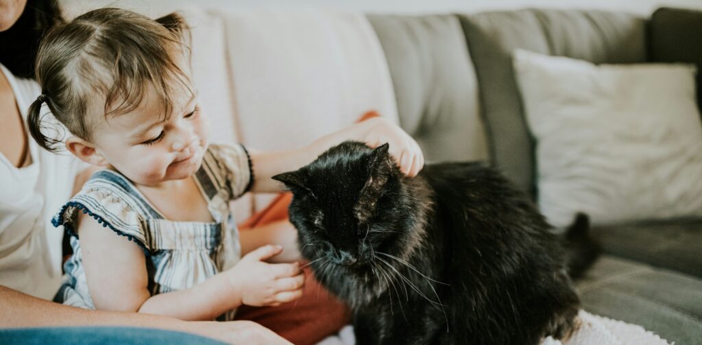 Petit enfant câlinant un chat noir sur le canapé