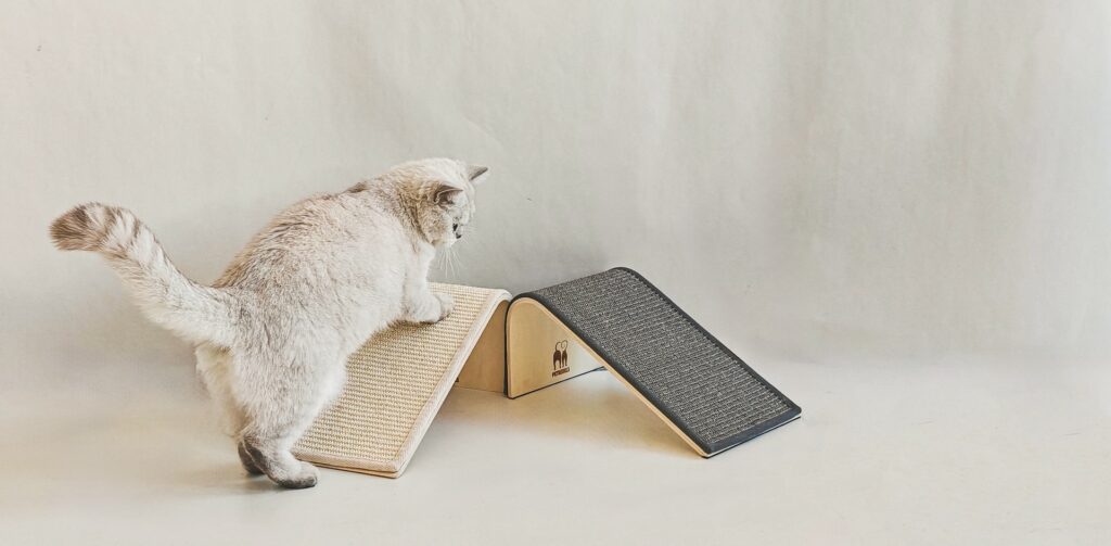 Kat ontspant op krabplank Archie van Petrebels na een verhuizing.