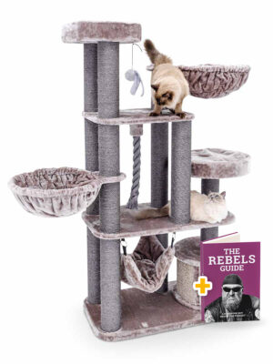 Krabpaal Vista 170 - Cappuccino - 12 cm stam - XXL – meerdere katten