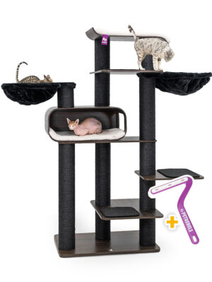 Krabpaal Virgo 200 - Wengé - 15 cm stam - Handgemaakt