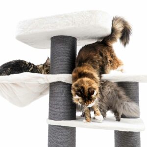 Krabpaal Bengal 199 - Off White - 20 cm stam - XXL – meerdere katten