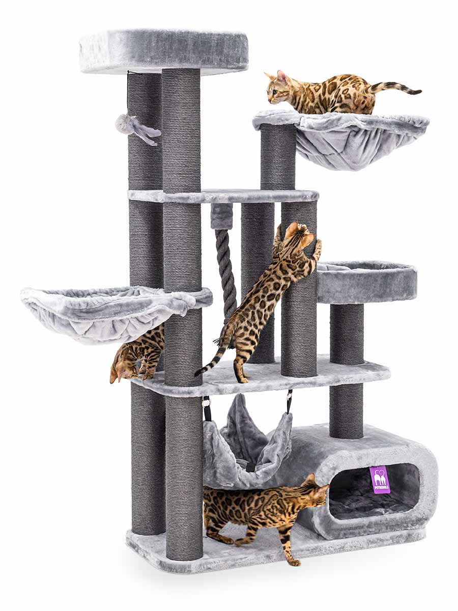 Petrebels