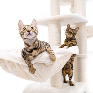 Krabpaal Interstate 199 - Cream- 12 cm stam - XXL – meerdere katten