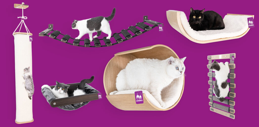 DIY kattenmuur overzicht van 6 katten die spelen, klimmen, krabben en slapen in onderdelen van de Wall of Rebels kattenmuur.