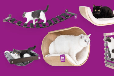 DIY kattenmuur overzicht van 6 katten die spelen, klimmen, krabben en slapen in onderdelen van de Wall of Rebels kattenmuur.