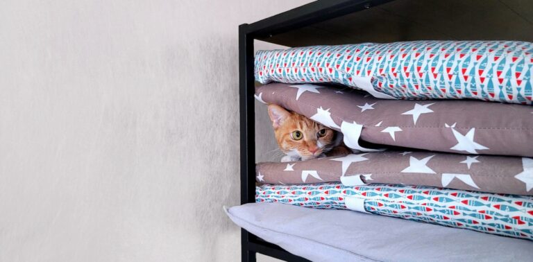 kat met oranje vacht verstopt zich in een kast tussen een stapel gekleurde kussens - Petrebels blog: de 3-3-3 regel bij katten en hoe je het best kunt laten wennen